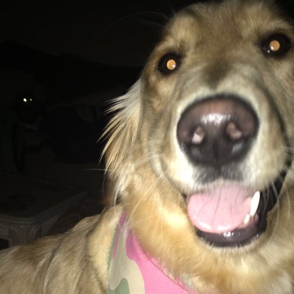 Meet your Posher, Kaylie - Picture 11 of 13